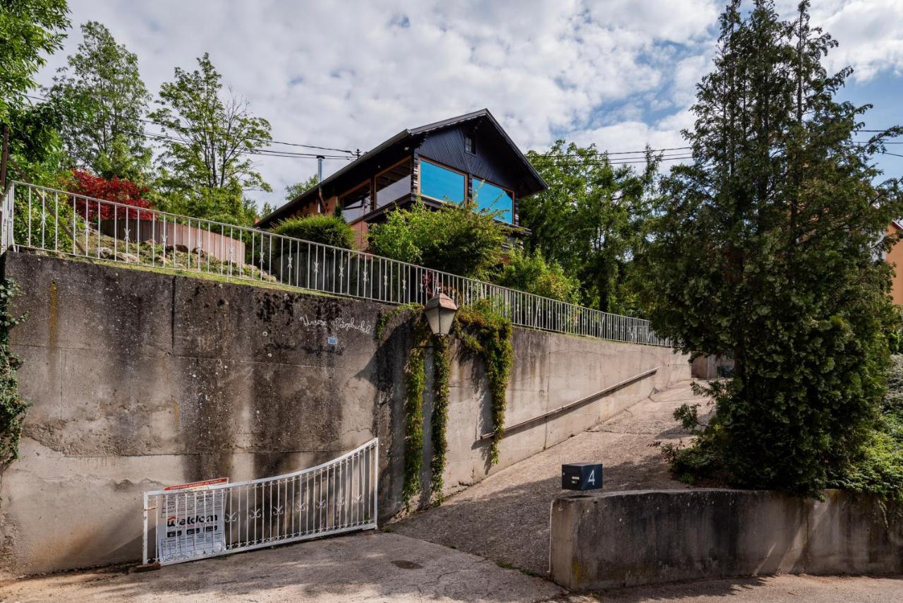 Vila Le Grand Nichoir De La Colline - Parking - Wifi Mutzig Exteriér fotografie